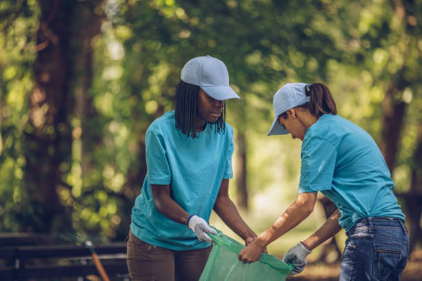 Messy House Decluttering and Organization